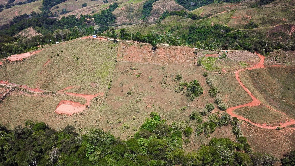 8.77 ACRES – Private Land Just 20 Min to Dominical, Beautiful Mountain Views, Legal Water, Electricity, Public Road, Private Setting, Ready to Build!!!! - Gallery image 4