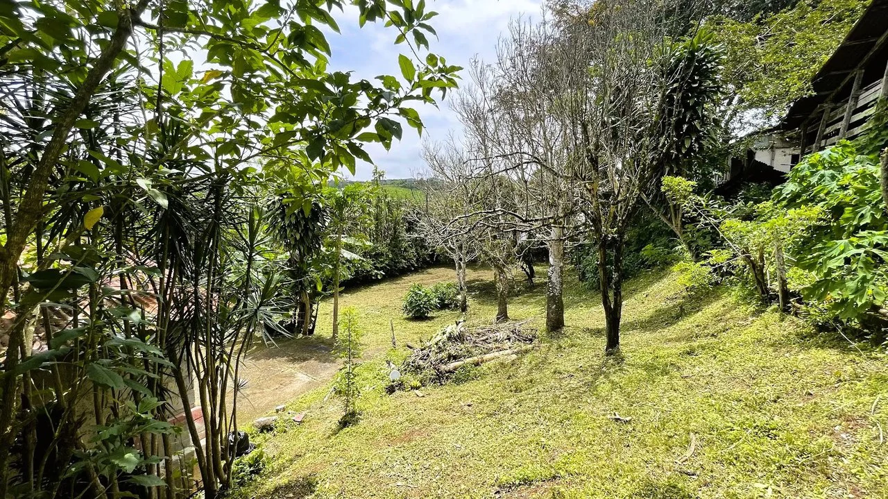 INVESTMENT: HOUSE & LARGE LOT IN SAN ISIDRO, SAN RAMON: House For Sale in San Ramón - Gallery image 3