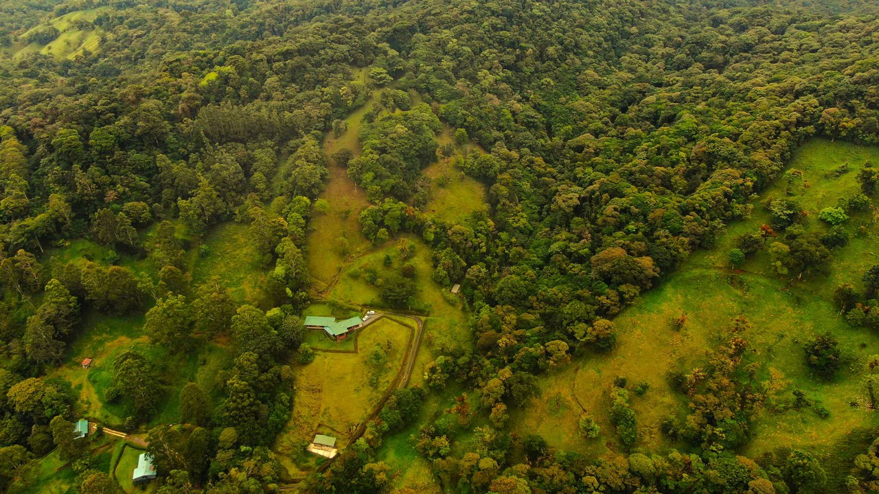 Hidden Paradise in Monteverde. Sierra Verde SV0125: 5 Hectares with Spectacular Views, a Beautiful and Cozy Main House and Caretaker’s Home Just 10 Minutes from Monteverde - Gallery image 7