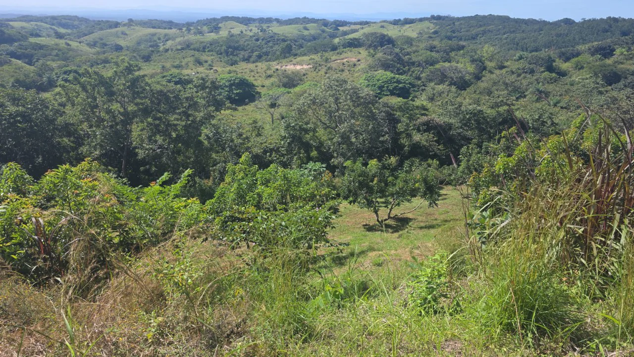 Mountain Property for Sale with charming 360º views of Guayabos Valley and the Volcanoes - Gallery image 36