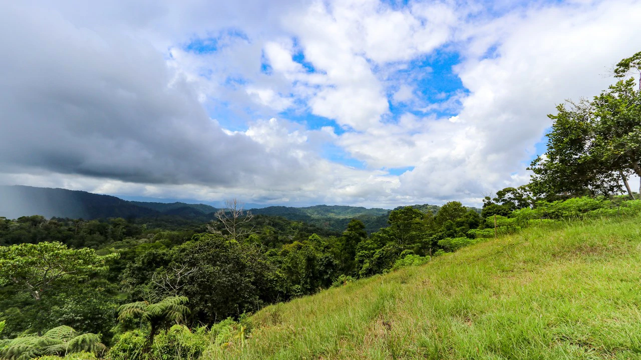 Unique Development Property Overlooking the Pristine Golfito Bay and Golfo Dulce - Gallery image 29