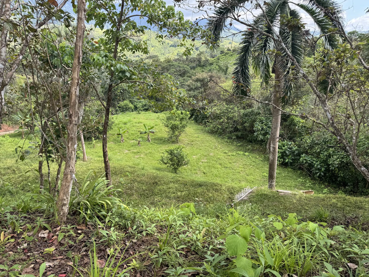 12 Acre Farm in Private Agricultural Community South of Ojochal - Gallery image 2