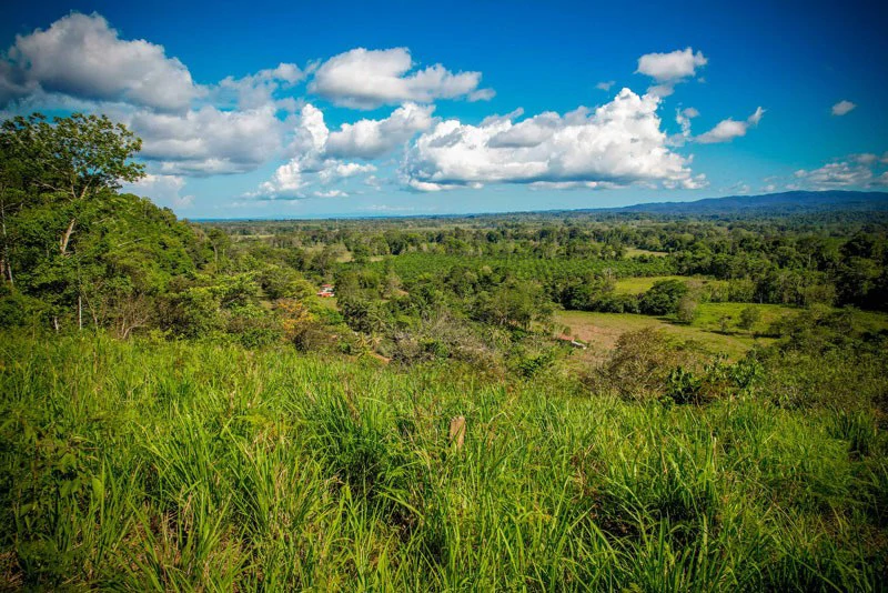 Ocean View & Primary forest 55-ha Rincon de Osa - Gallery image 34