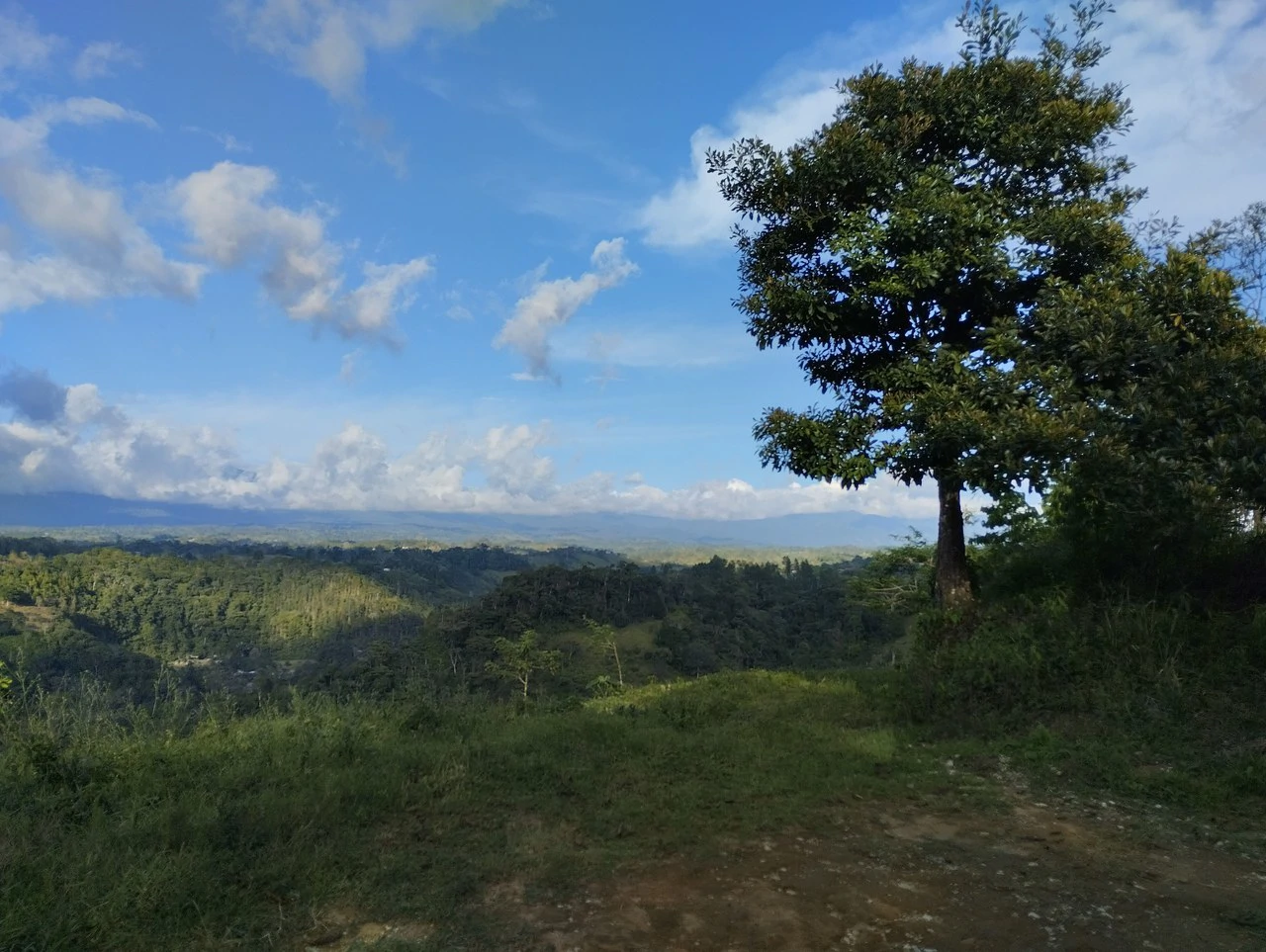 Charming Private Mountaintop home in the perfect climate of San Vito Coto Brus, San Isidro-Perez Zeledon, San Vito, San Jose, Costa Rica - Gallery image 9