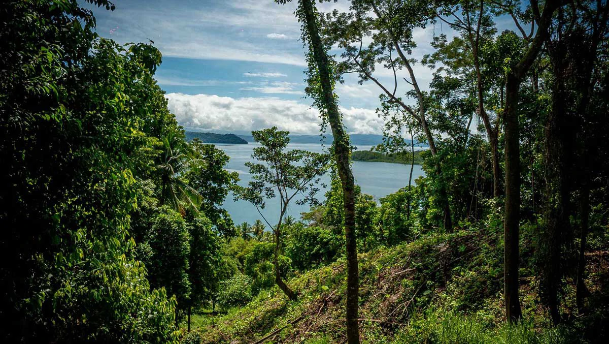 Rincon Mountain Land Gulf View | A Breathtaking Landscapes of Rincon - Gallery image 25