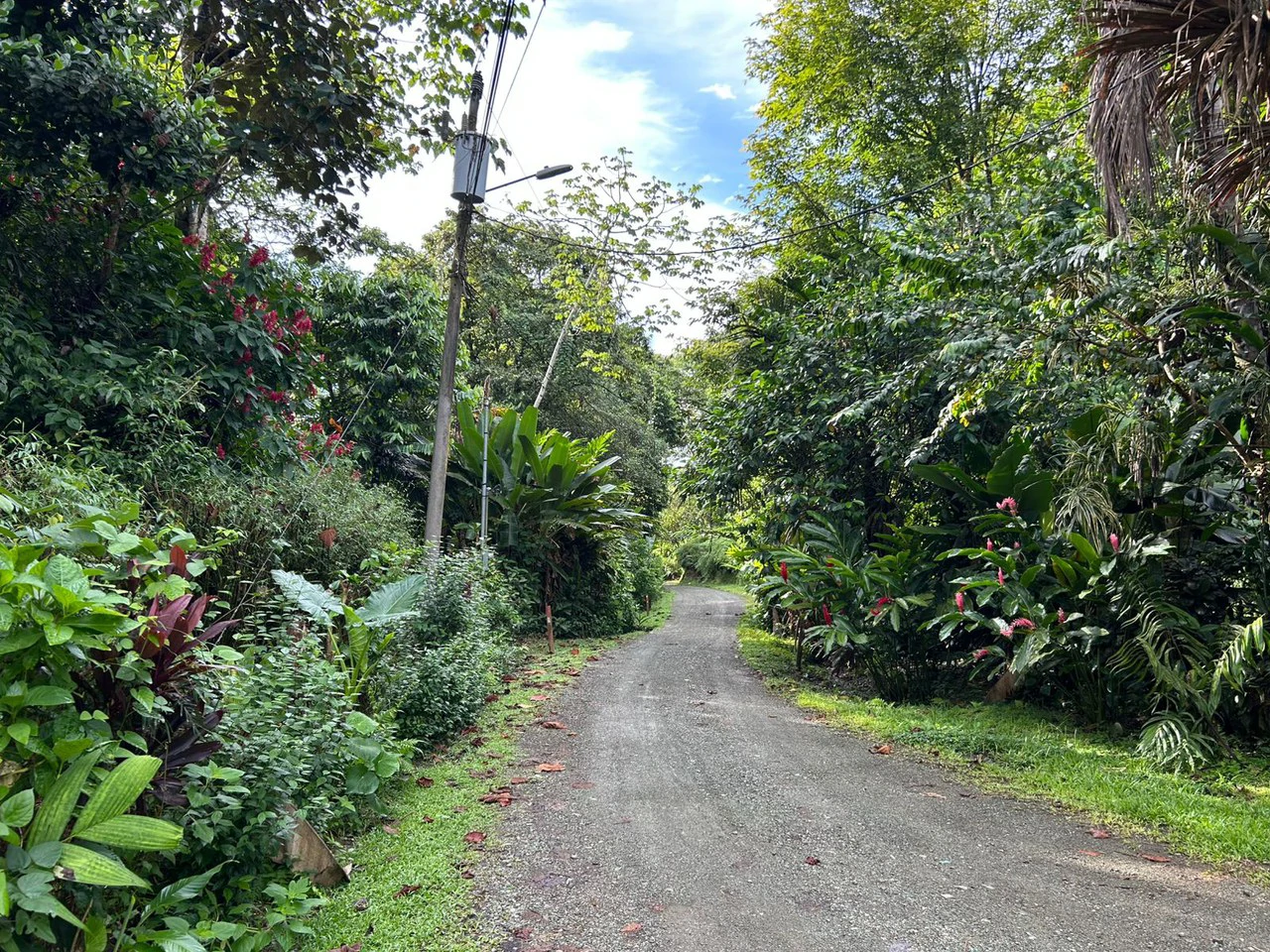 60 Acre Fully Sustainable and Impactful Conservation Initiative Near Golfito: Mountain Multi Unit Building For Sale in Golfito - Gallery image 32