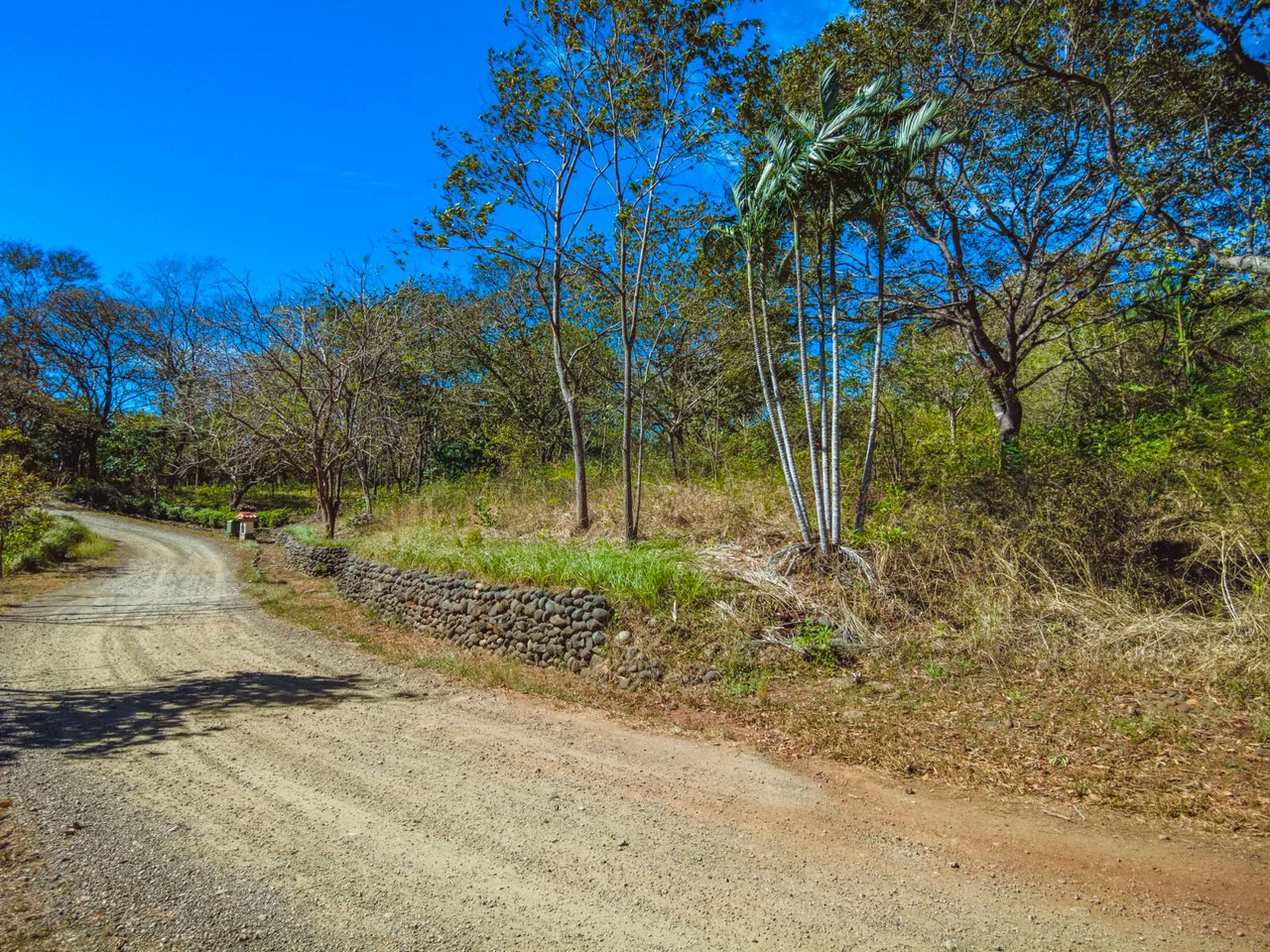 Tierra Pacifica #9: Secluded Lot in Gated Eco Community - Gallery image 3