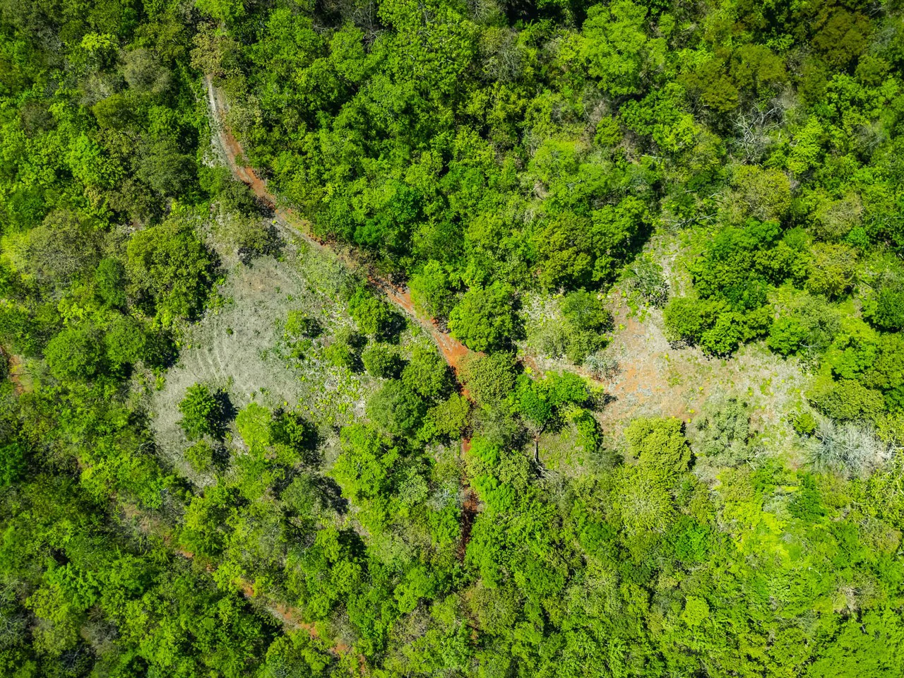 Finca 46Ha: Private Sanctuary with River and Forest - Gallery image 14