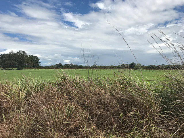 Large Development Land for Sale in Liberia, Guanacaste, Costa Rica - Gallery image 61