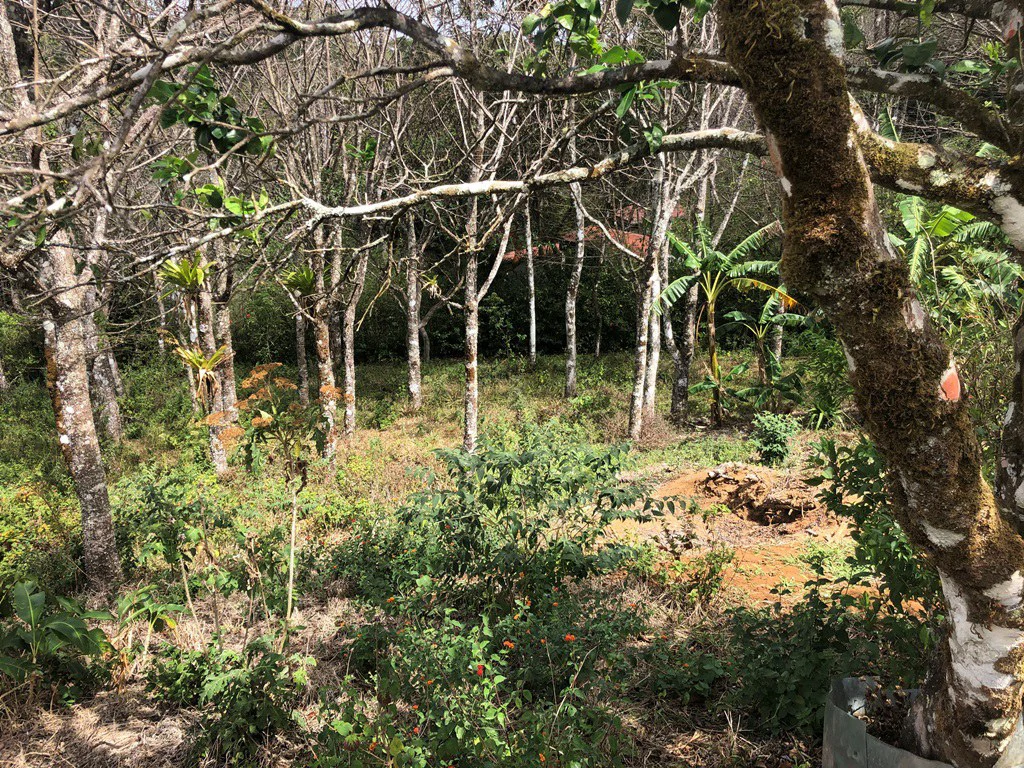 TURNKEY SOLUTION ECO MOUNTAIN LODGE FOR SALE - Gallery image 38