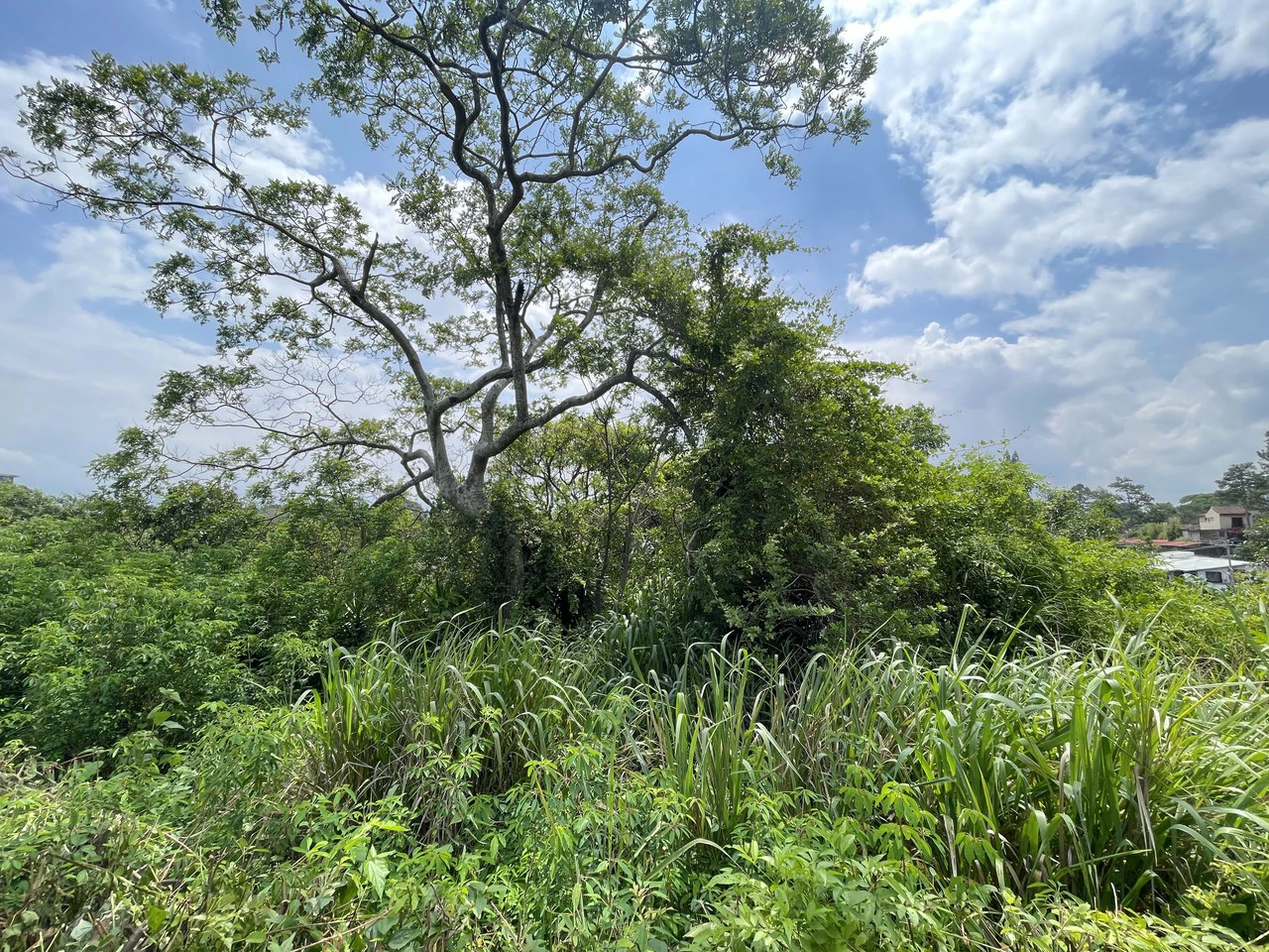 Developemt land 3726: Escazu, San Rafael, development land for sale with a house - Gallery image 6