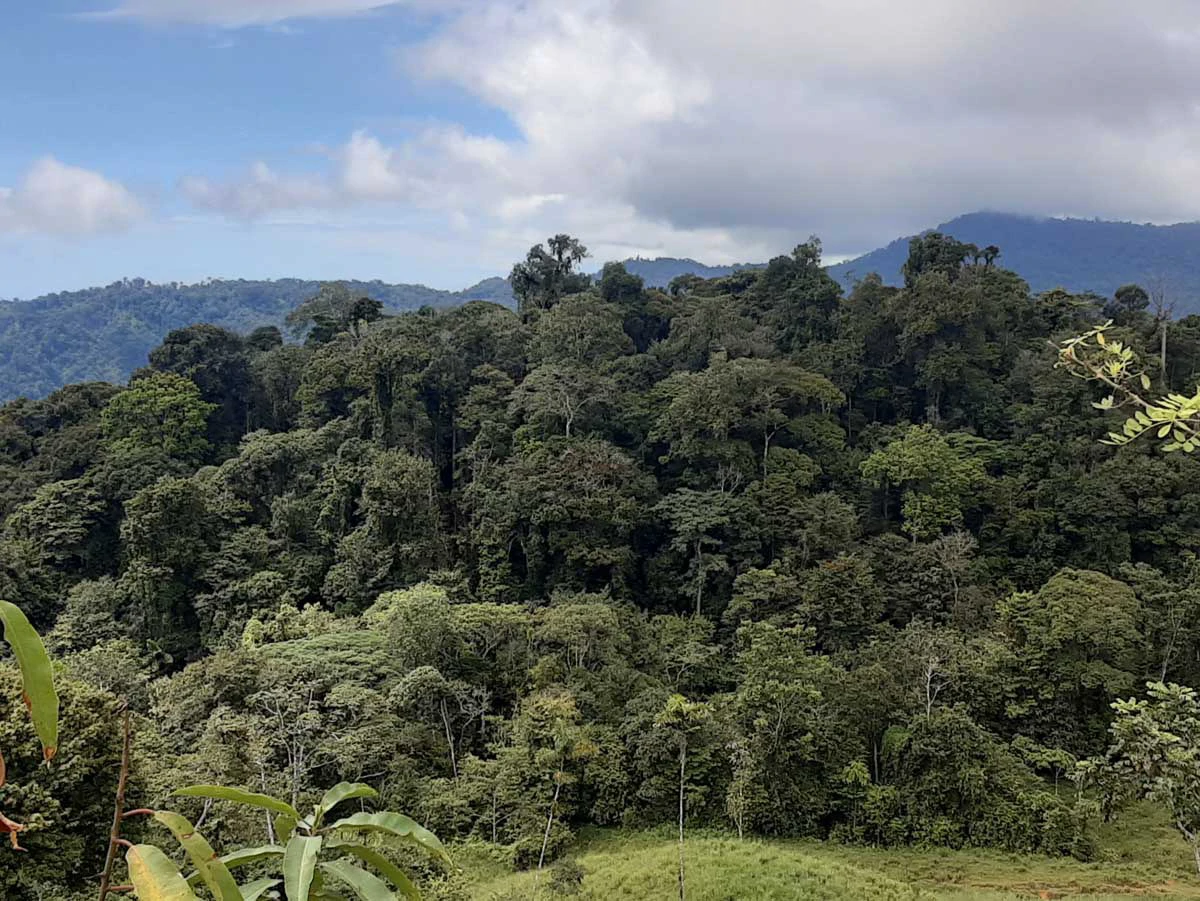 Finca Tesoro Escondido - The Jewel of Uvita - Gallery image 17