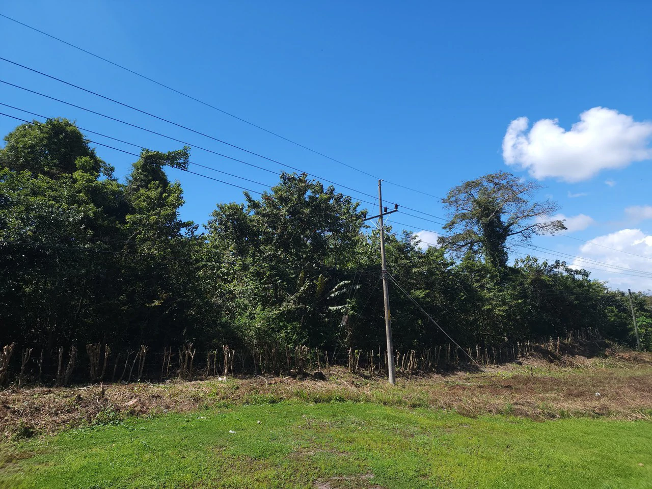 Near the Coast and Countryside Development Parcel For Sale in Coyolar - Gallery image 4