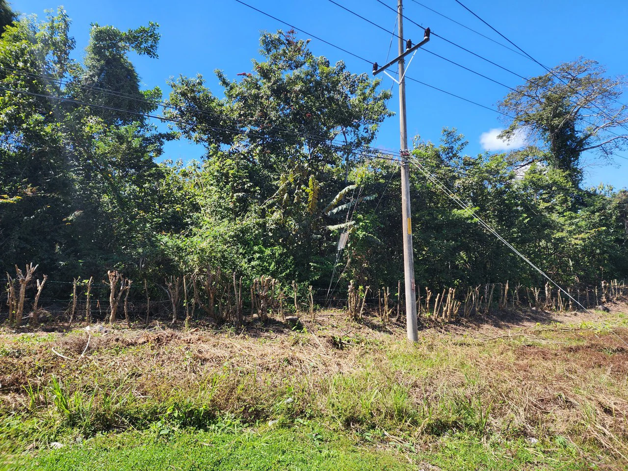 Near the Coast and Countryside Development Parcel For Sale in Coyolar - Gallery image 16
