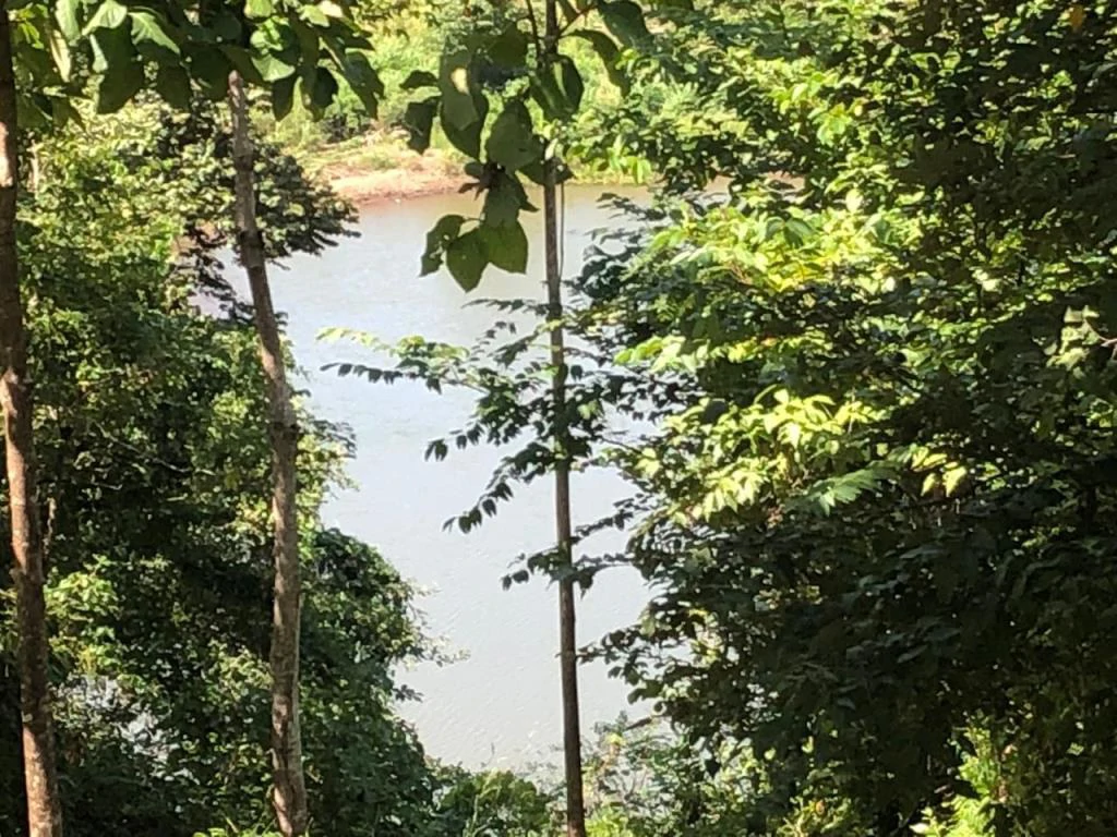 Teak Farm for Sale with a Hacienda Villa and 3 houses in La Cruz, 1 hour away from Liberia - Gallery image 13