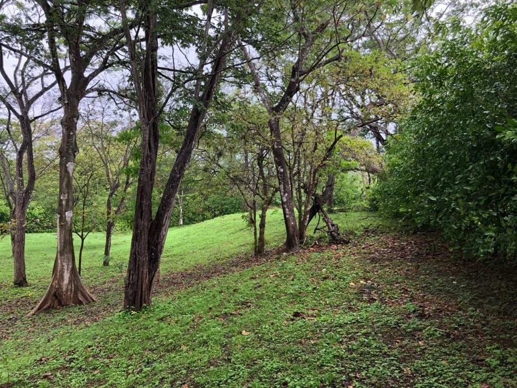 Lot in exclusive Residential, close to Beach Tamarindo - Gallery image 19