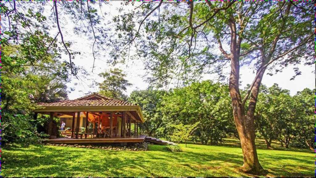 Luxurious country house in Orotina - Gallery image 37