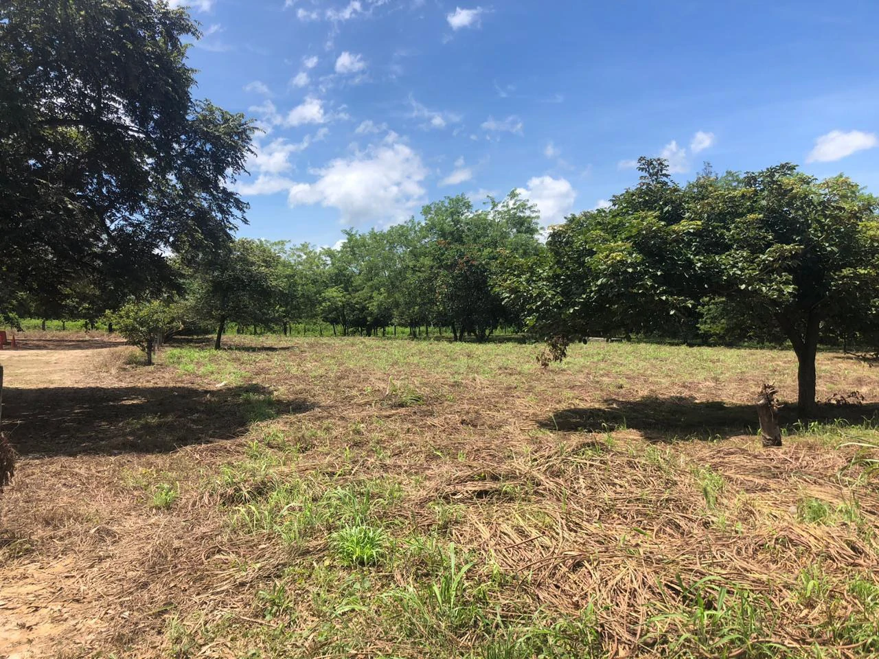 Commercial property in front of Delegation Transit, Liberia