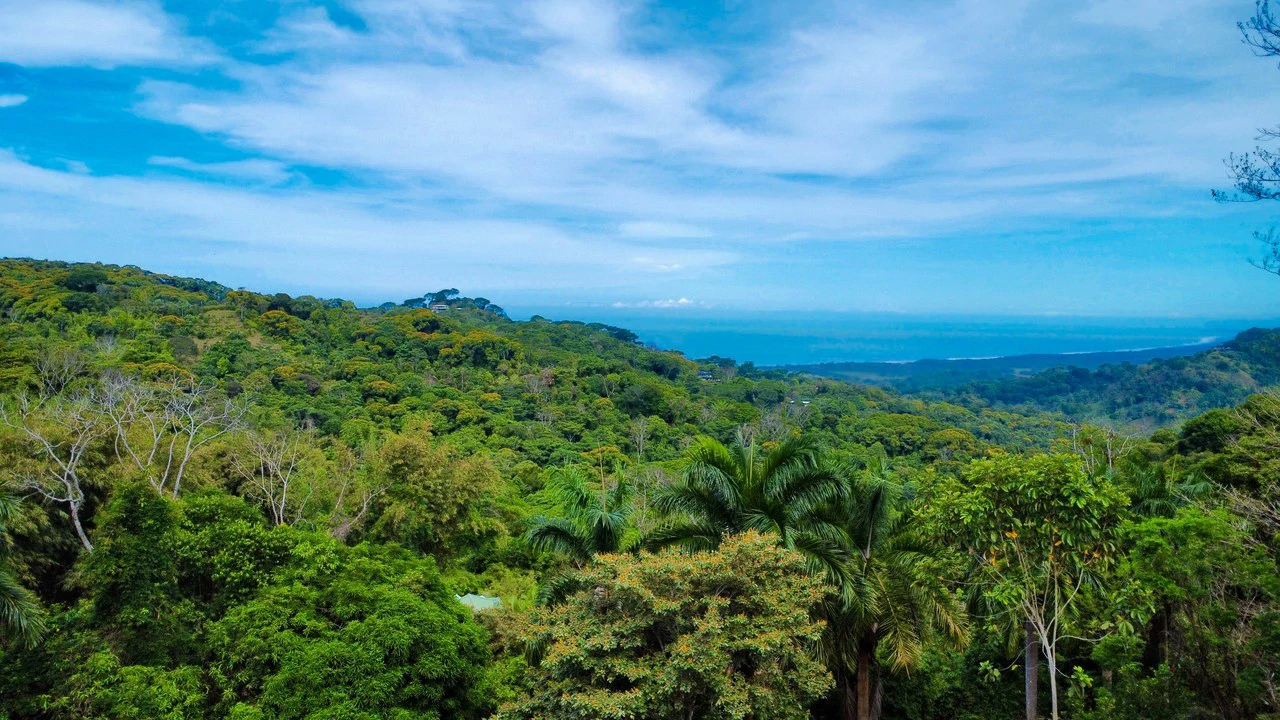3.6 Acre Ocean View, Near the Beach & Cool Mountain Elevation: Mountain Home Construction Site For Sale in Lagunas - Gallery image 8
