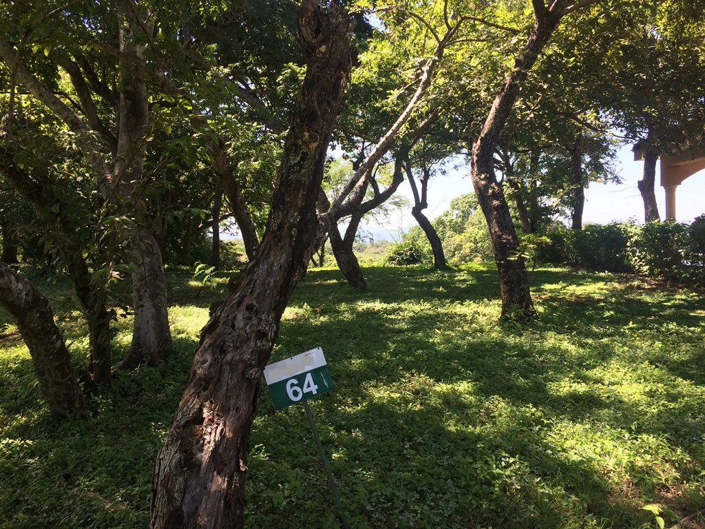 Great Ocean, valley and garden view Lots for sale in a Private Gated Community in Peninsula Papagayo - Gallery image 4