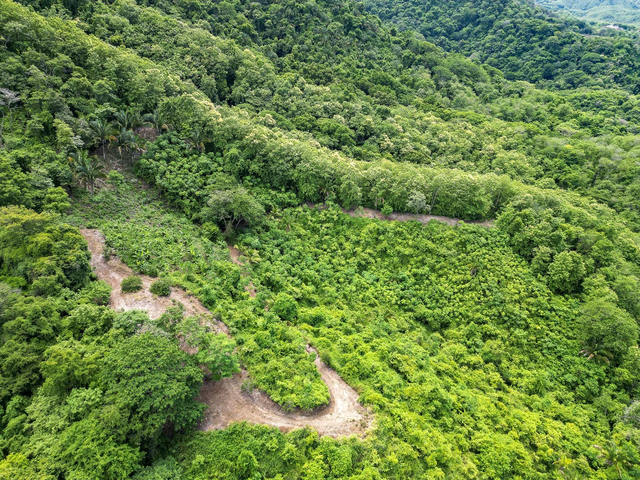 Finca Montana: 125 Acre Finca With Stunning Ocean Views - Gallery image 3