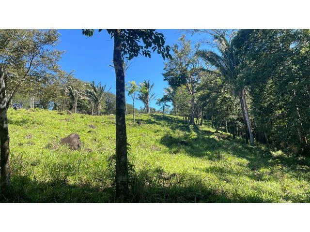 Nature Paradise Farm for sale in the mountains of Quebrada Grande, Building potential property 30 minutes away from Liberia - Gallery image 8