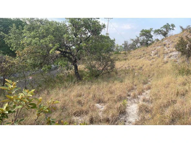 Zoning for homes, apartments, and warehouses in the mountains of Liberia, Beautiful 9.7 ha land with building permits - Gallery image 17