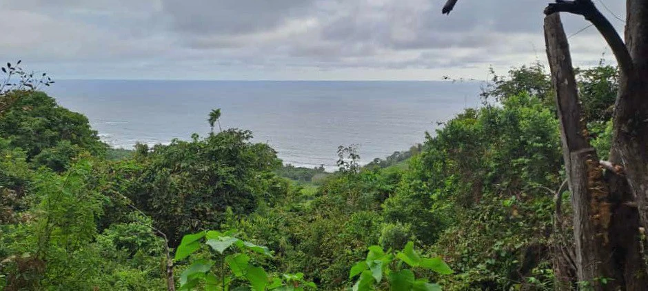 Property for Sale with Ocean and Mountain Views Corozalito Beach Guanacaste Costa Rica - Gallery image 6