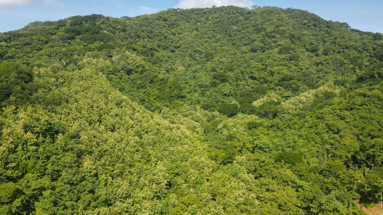 Farm for sale Bejuco Nandayure Guanacaste Costa Rica - Gallery image 4
