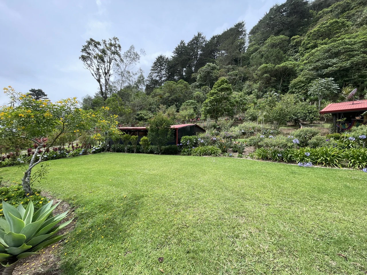 Cartago, gourmet coffee plantation: Charming Coffee Retreat Home with Stunning Views and Gourmet Coffee Plantations - Gallery image 20