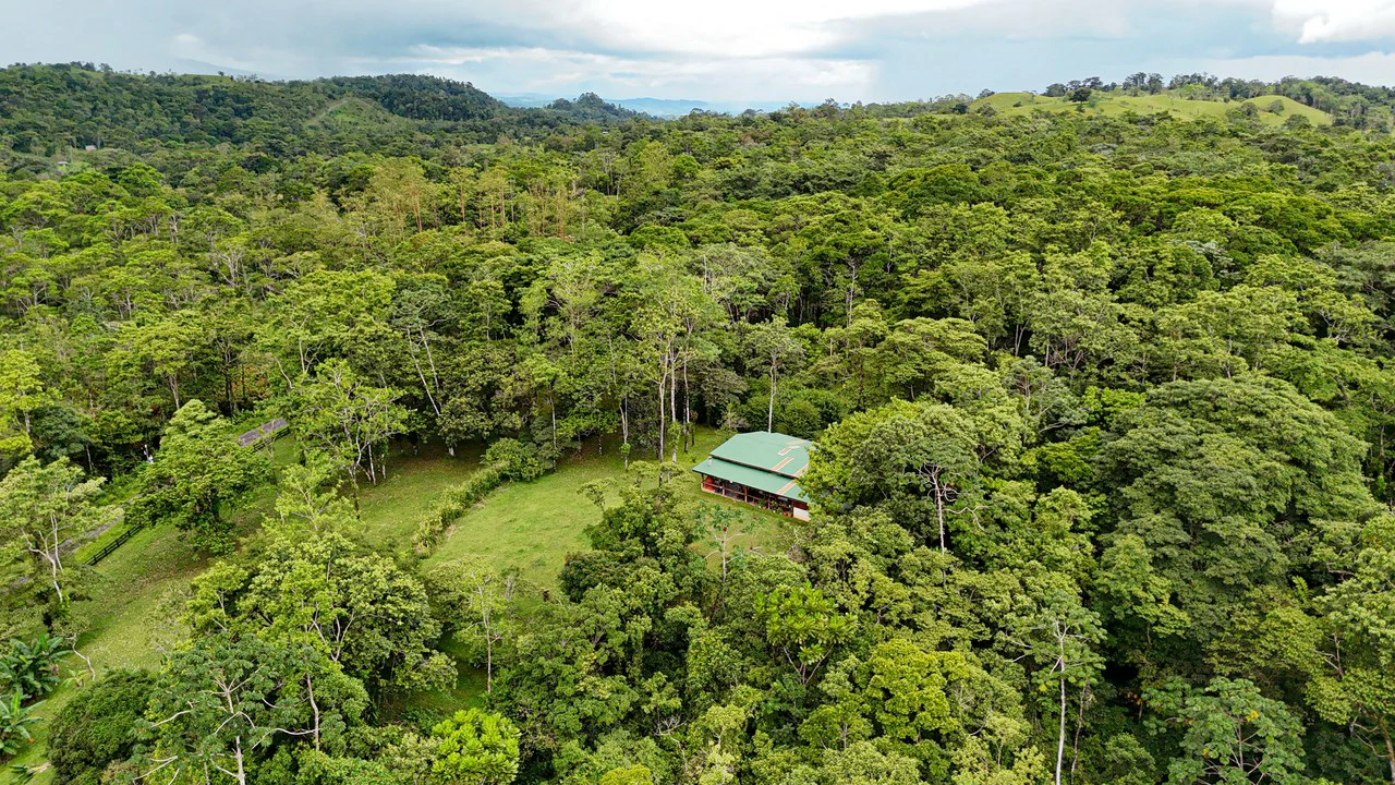 Finca Macadamia: 154-acre Rainforest Paradise with two Houses and Trails! - Gallery image 19