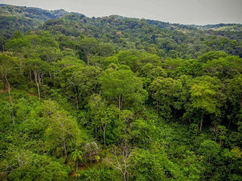 Golfo Dulce Waterfall Jungle Farm | A Nature Lover's Dream Come True - Gallery image 8