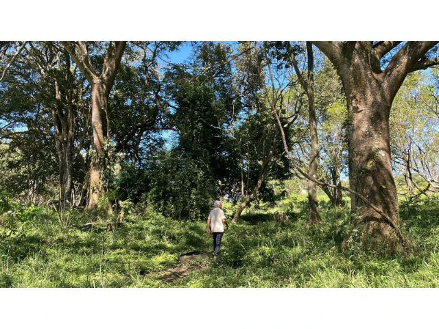 Nature Paradise Farm for sale in the mountains of Quebrada Grande, Building potential property 30 minutes away from Liberia - Gallery image 25