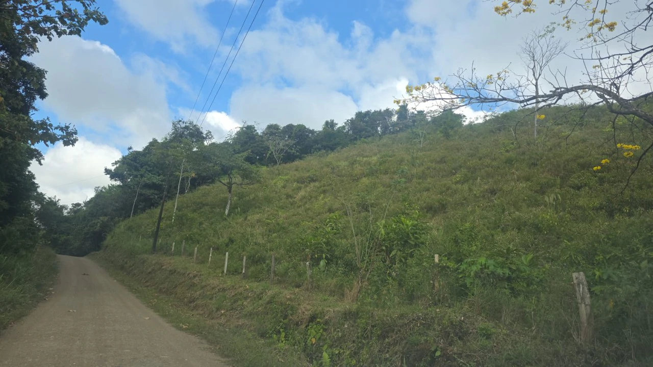 Expansive Year-Round Green Agricultural Property with Rolling Hills and a River – One Hour from Liberia