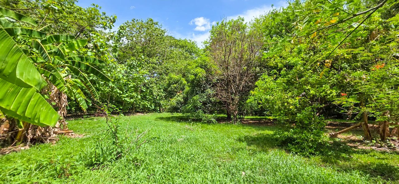 Casa Amaya: Charming House With Large Lot In Nosara - photo 21