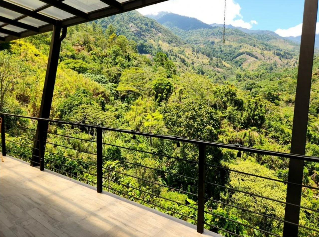 Modern Country House with Guest Cottage Amidst a Coffee Plantation in Perez Zeledon, Costa Rica - Gallery image 32
