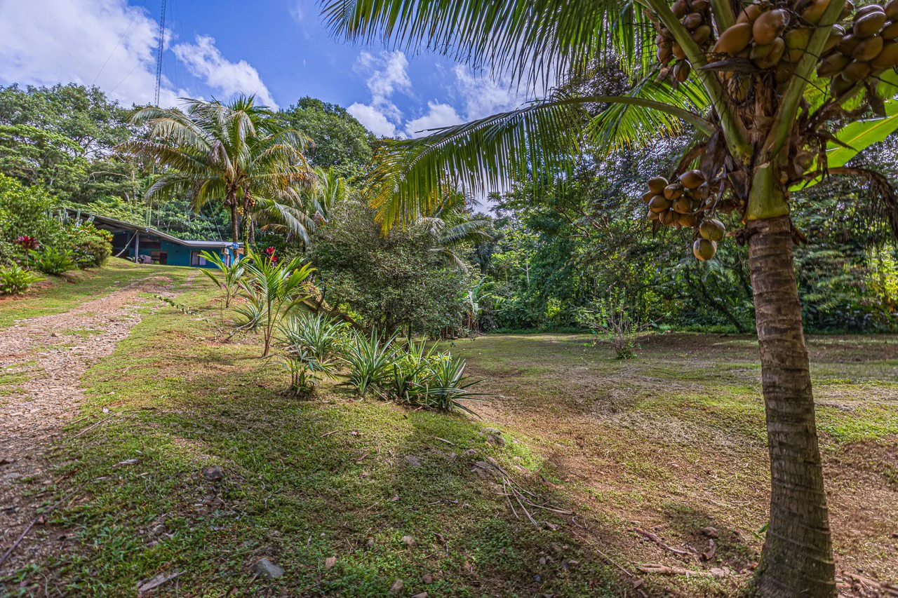 Tropical Hideaway – 7 Acres of Secluded Riverfront with a 3-Bedroom Home: Mountain House For Sale in Bahía Ballena - Gallery image 39