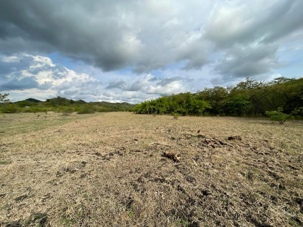 Farm for Sale to Develop Guanacaste Costa Rica - Gallery image 15