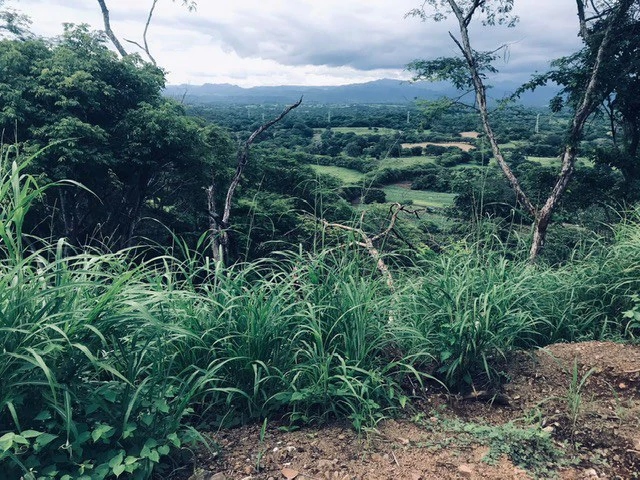 Amazing 50% discount for Huge ocean-view farm for sale surrounded by soft rolling hills and pristine nature - Gallery image 40