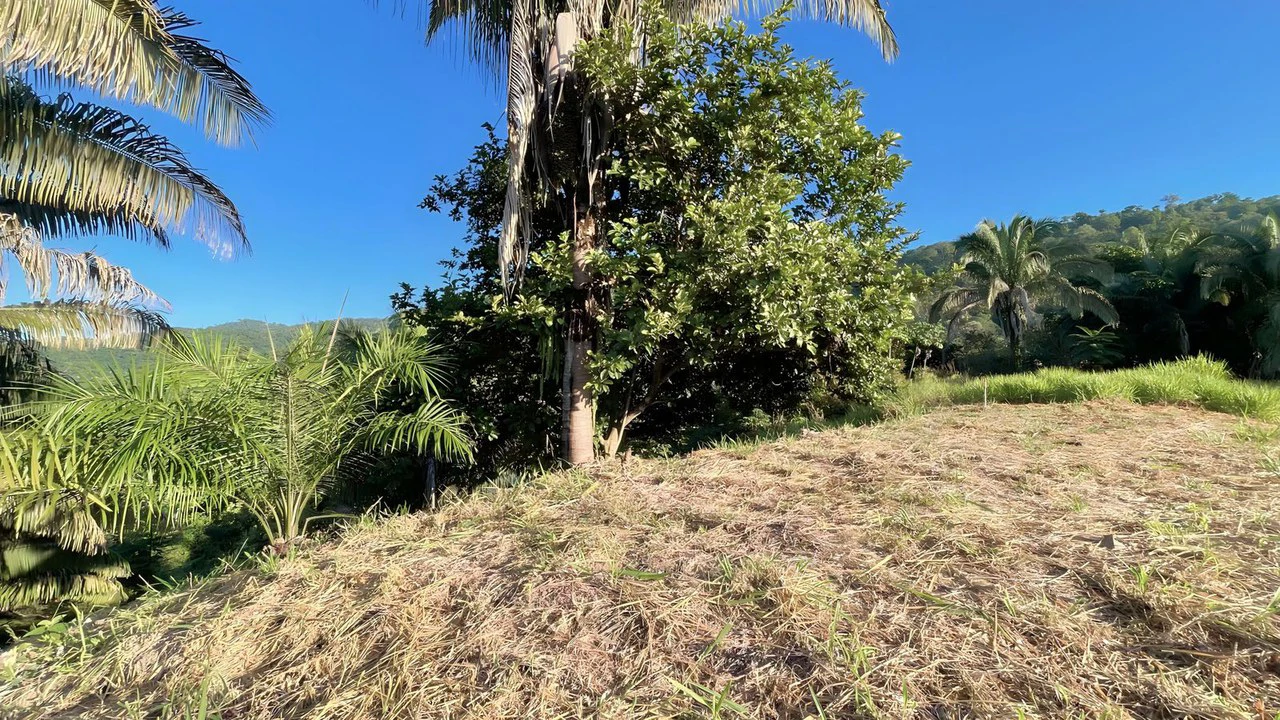 Exclusive Hermosa 1.2 Acre Lot with Panoramic Mountains and Ocean View. - Gallery image 4