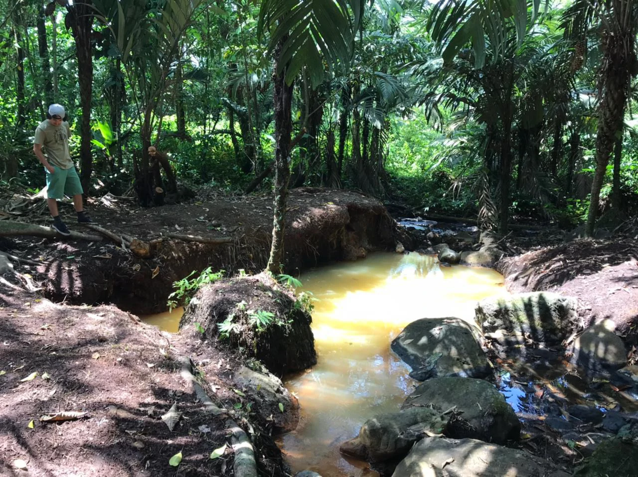 Hot Springs Property for Sale with Two Natural Hot Water Springs, Two Cold Water Creeks, and a Giant 300-Year-Old Tree - Gallery image 2