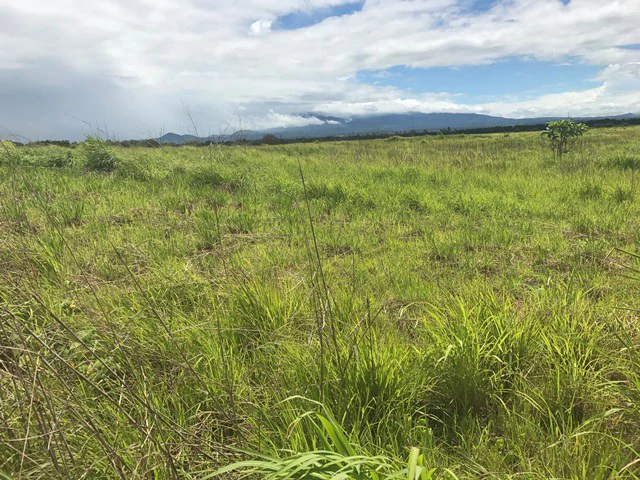 Large Development Land for Sale in Liberia, Guanacaste, Costa Rica - Gallery image 41