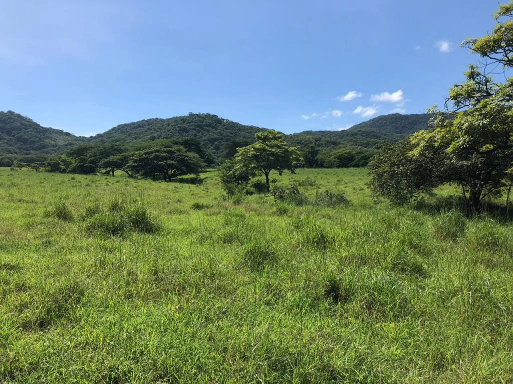 Huge dream Cattle farm for sale with 2 houses close to the Gulf of Nicoya, Guanacaste, Costa Rica - Gallery image 25