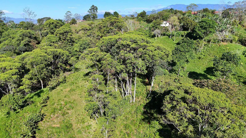 Lote frente a RISE: Mountain Agricultural Land For Sale in El General - Gallery image 9