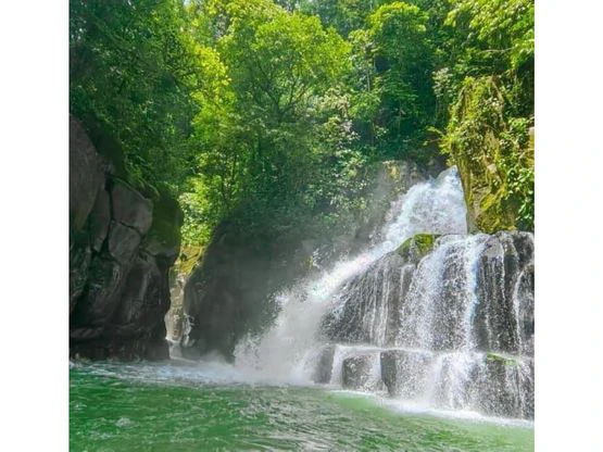 INCREDIBLE ECOLOGICAL PROPERTY WITH 4 SPECTACULAR WATERFALLS - Gallery image 8