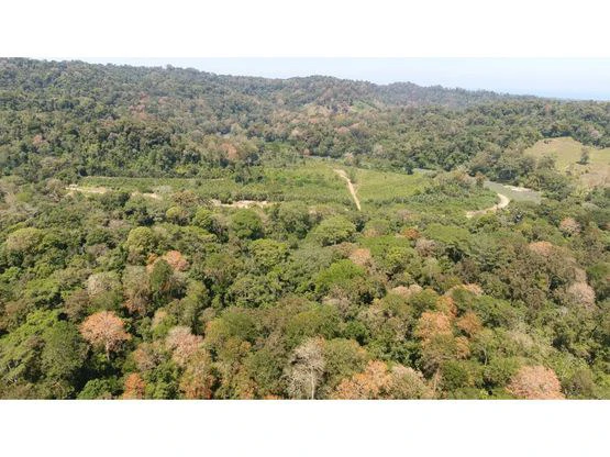 Finca Nanabri: Farm and Ecotourism Land for Sale in Penshurst - Gallery image 5