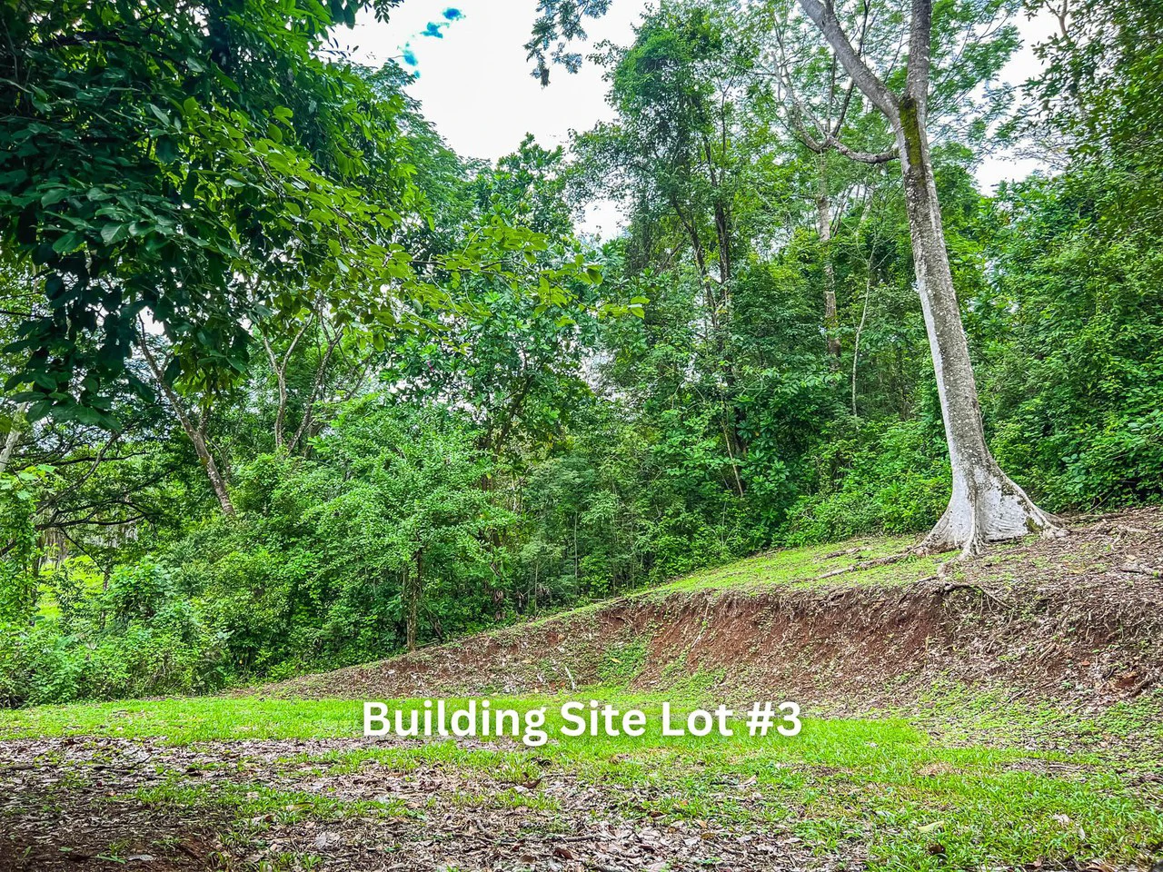 The Refuge: Ecological Lots in Hojancha Blue Zone - photo 12
