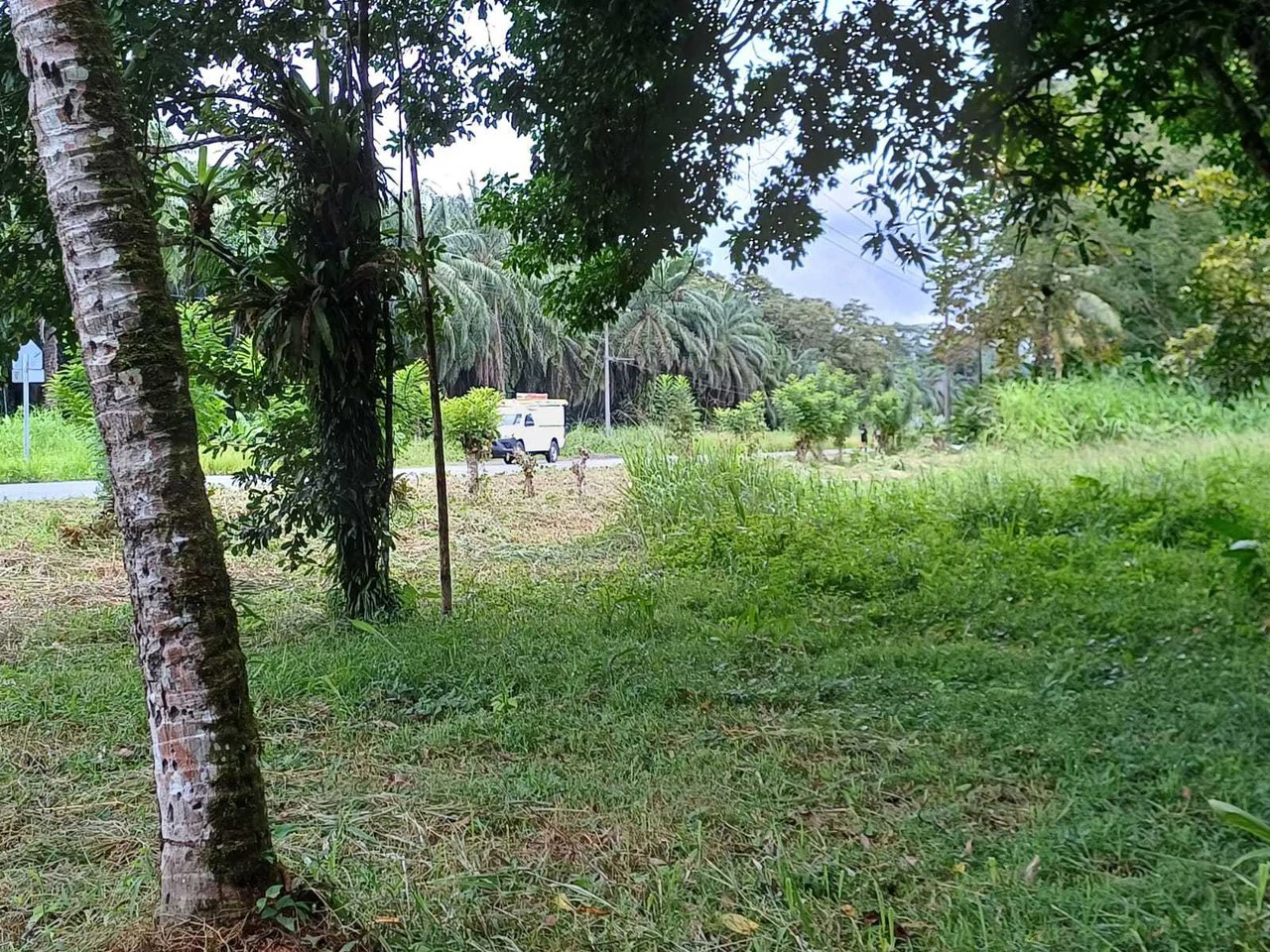 Natura Amapola Reserve, Puerto Jimenez - Gallery image 2