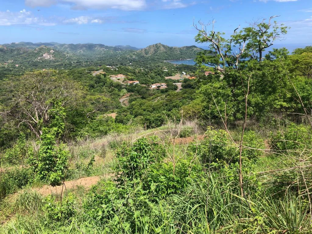 Property with spectacular ocean view - Playas del Coco - Gallery image 4