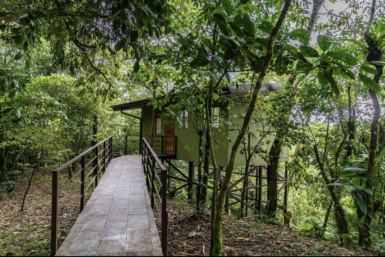 3 bedroom house with swimming pool & 2 Jungle Studios. - Gallery image 23